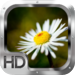Beautiful HD Wallpapers